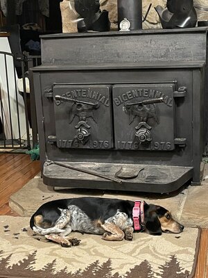 1765755607474.jpeg 1765755607474.jpeg