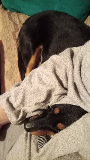 IMG_20251215_082223.jpg IMG_20251215_082223.jpg