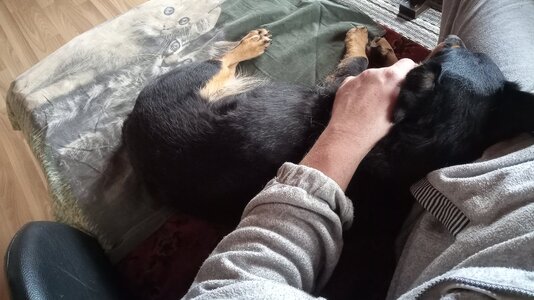 IMG_20251215_120012.jpg IMG_20251215_120012.jpg