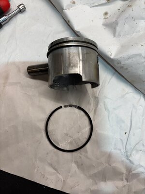 IMG_9138.jpeg IMG_9138.jpeg