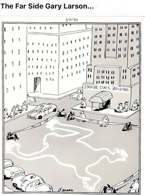 IMG_2111.jpeg IMG_2111.jpeg