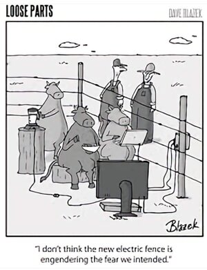 IMG_2116.jpeg IMG_2116.jpeg