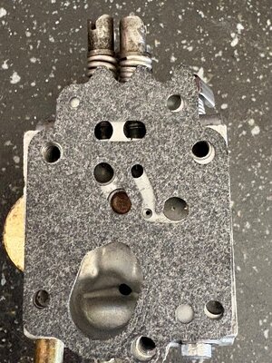 IMG_7564.jpeg IMG_7564.jpeg