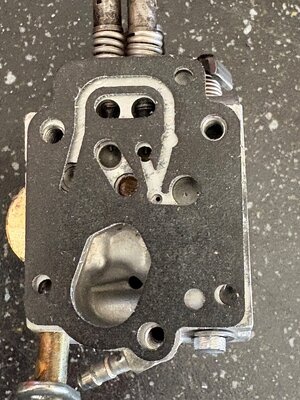 IMG_7565.jpeg IMG_7565.jpeg