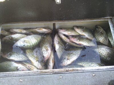 IMG_20251220_091526.jpg IMG_20251220_091526.jpg