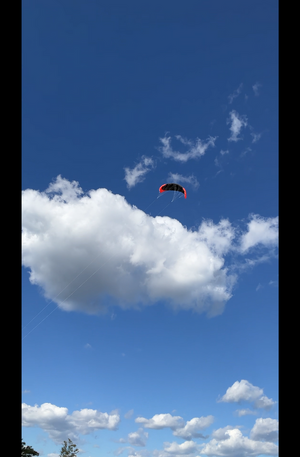 IMG_0738.png IMG_0738.png