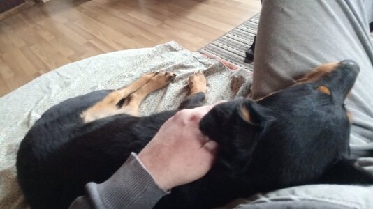 IMG_20251226_111101.jpg IMG_20251226_111101.jpg