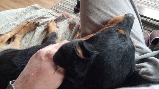 IMG_20251226_111050.jpg IMG_20251226_111050.jpg