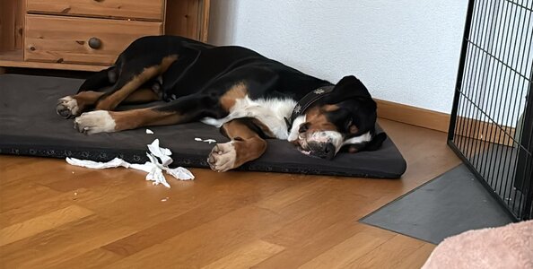 IMG-20251224-WA0002.jpg IMG-20251224-WA0002.jpg