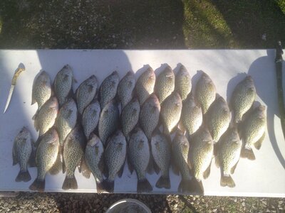 IMG_20251226_124949.jpg IMG_20251226_124949.jpg