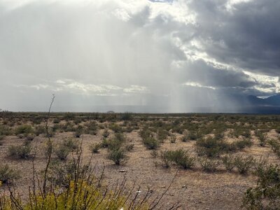 IMG_6809.jpeg IMG_6809.jpeg