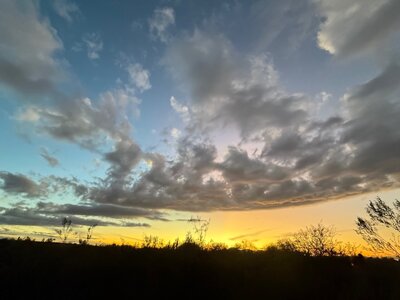 IMG_6813.jpeg IMG_6813.jpeg