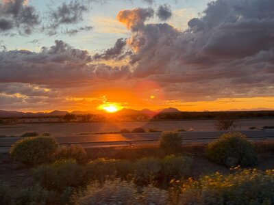 IMG_6811.jpeg IMG_6811.jpeg