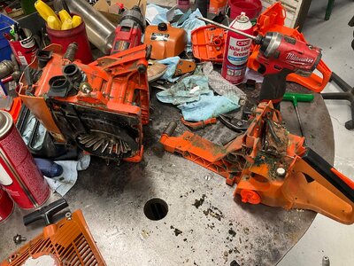 IMG_0780.jpeg IMG_0780.jpeg