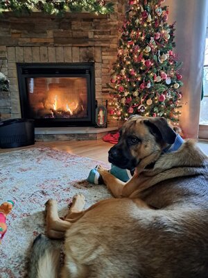 IMG_20251229_192855.jpg IMG_20251229_192855.jpg