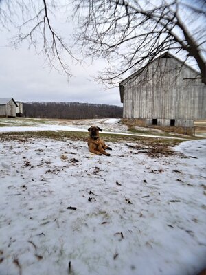 IMG_20251229_192809.jpg IMG_20251229_192809.jpg