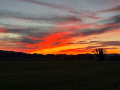 IMG_3839.jpeg IMG_3839.jpeg