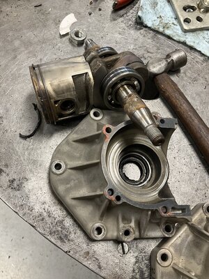 IMG_0786.jpeg IMG_0786.jpeg