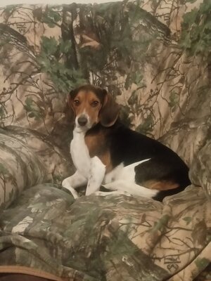 IMG_20251230_170031446.jpg IMG_20251230_170031446.jpg