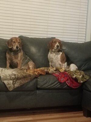 IMG_20251230_171407377.jpg IMG_20251230_171407377.jpg