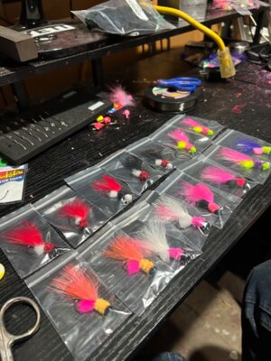 IMG_3965.jpeg IMG_3965.jpeg