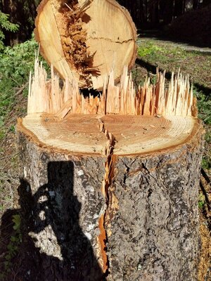 split.stump2.jpg split.stump2.jpg