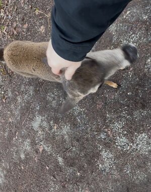 IMG_2208.jpeg IMG_2208.jpeg