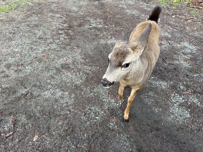 IMG_2203.jpeg IMG_2203.jpeg