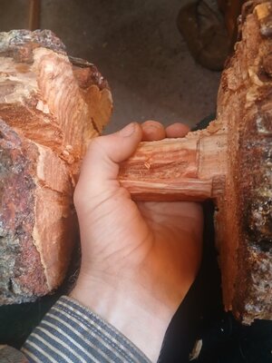 20251225_150815.jpg 20251225_150815.jpg