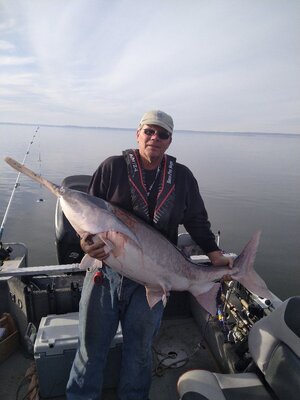 IMG_20260101_151556_1.jpg IMG_20260101_151556_1.jpg