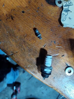 IMG_20260101_194807676.jpg IMG_20260101_194807676.jpg