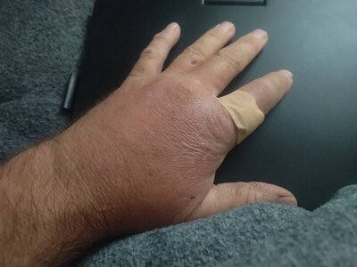 IMG_20260102_065709.jpg IMG_20260102_065709.jpg