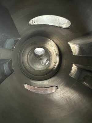 IMG_1397.jpeg IMG_1397.jpeg