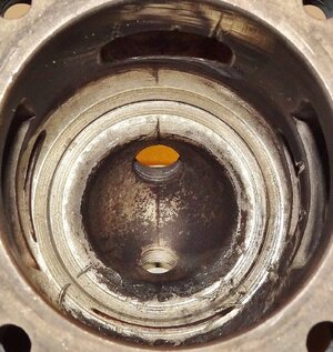 DSC03515 (1212x1280).jpg