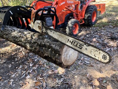 IMG_0379.jpeg IMG_0379.jpeg