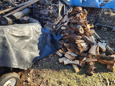 20260111_150823.jpg 20260111_150823.jpg