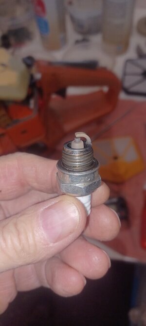 1000013953.jpg 1000013953.jpg