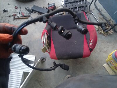 IMG_20260113_171625.jpg IMG_20260113_171625.jpg