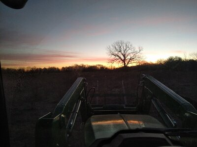 IMG_20260115_071249.jpg IMG_20260115_071249.jpg