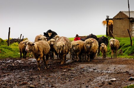 Random Snaps (81).jpeg