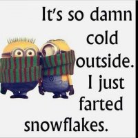 image.jpeg