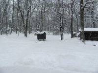 IMG_7421.JPG