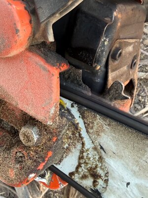 IMG_7159.jpeg IMG_7159.jpeg