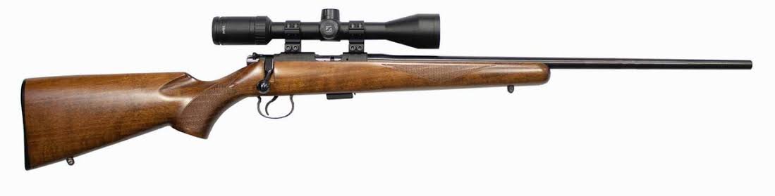 1769096234843.jpeg 1769096234843.jpeg