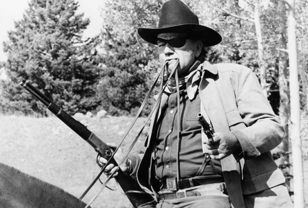 1769363084926.png 1769363084926.png