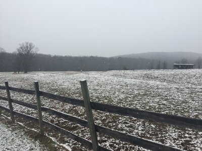 IMG_5536.jpeg IMG_5536.jpeg