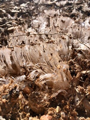 IMG_0841.jpeg IMG_0841.jpeg