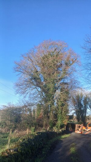 20260128_101554.jpg 20260128_101554.jpg