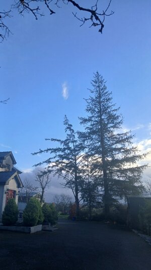 20260129_093900.jpg 20260129_093900.jpg