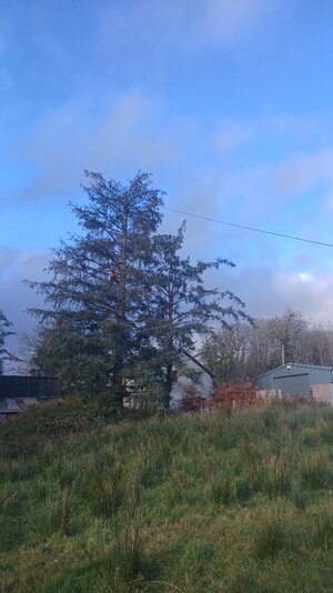 20260129_103837.jpg 20260129_103837.jpg